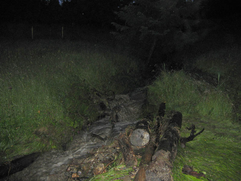 unwetter_ybrig_003