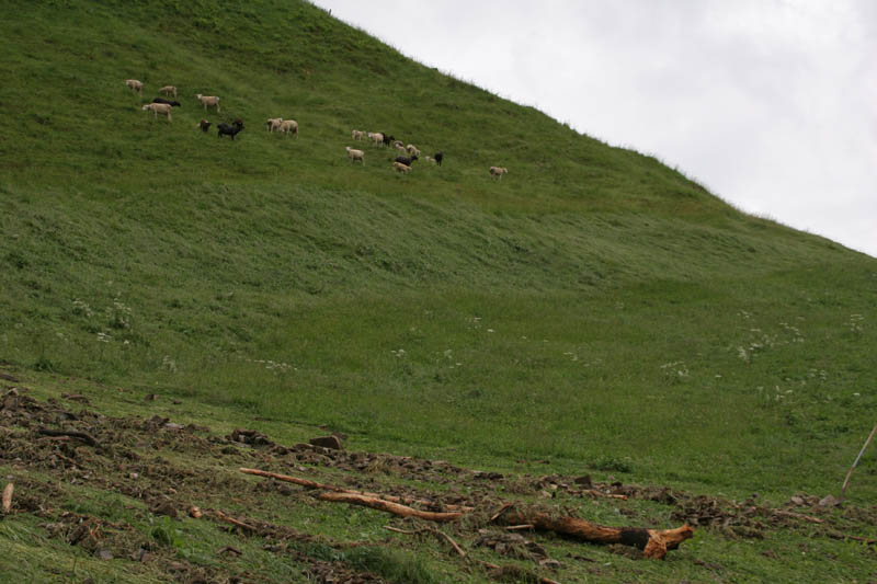unwetter_ybrig_099