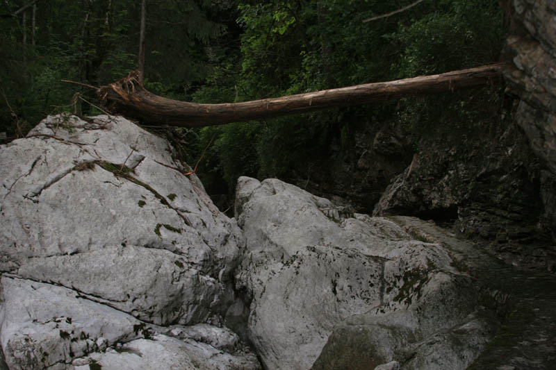 unwetter_ybrig_106