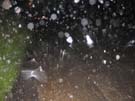 unwetter_ybrig_002