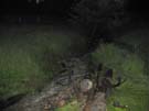 unwetter_ybrig_003