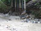 unwetter_ybrig_033