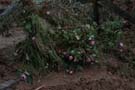 unwetter_ybrig_096