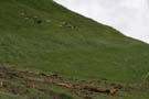 unwetter_ybrig_099
