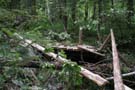 unwetter_ybrig_103