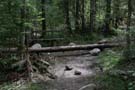 unwetter_ybrig_104