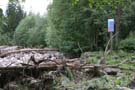 unwetter_ybrig_105