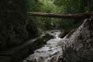 unwetter_ybrig_107